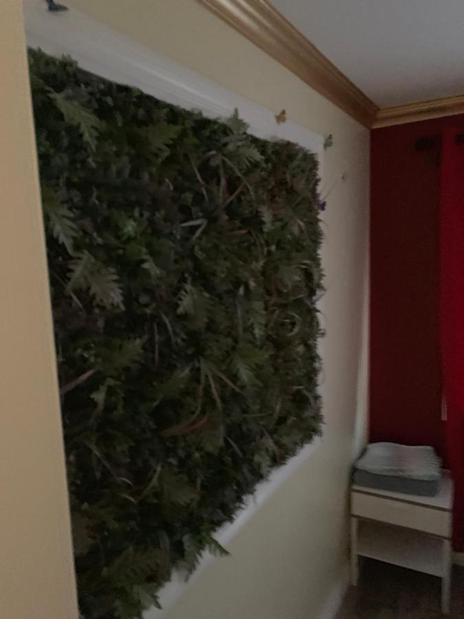 Lax Guest House Інґлвуд Екстер'єр фото